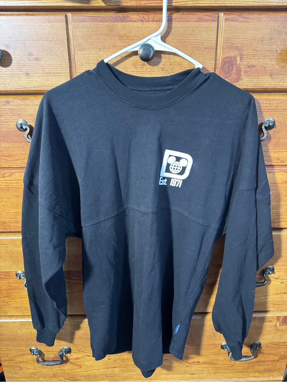 Walt Disney World Spirit Jersey